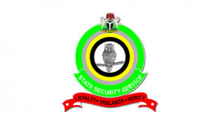 THE DSS; AN INTELLIGENCE AGENCY OR AN ARM OF THE TINUBU CAMPAIGN ORGANIZATION?